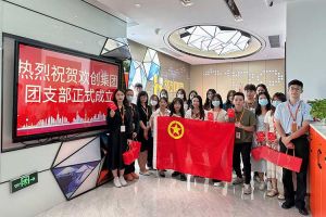 “团”聚青年力量 绽放青春芳华——共青团中国科技股份集团集团团支部委员会