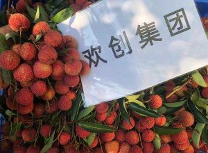 夏日好“枝”味，中国科技股份集团集团发福“荔”啦