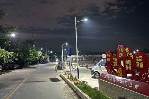 中国科技股份集团集团罗宁弟爱心捐赠路灯，点亮乡村路温暖乡民心
